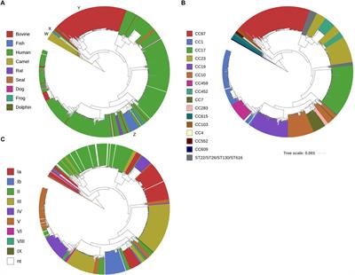 Subspecies Typing of Streptococcus agalactiae Based on Ribosomal Subunit Protein Mass Variation by MALDI-TOF MS